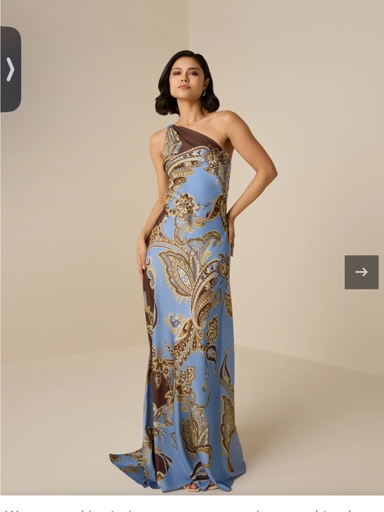 HEMANT & NANDITA Dresses & Skirts - HEMANT & NANDITA One-Shoulder Blue and Brown Paisley Gown